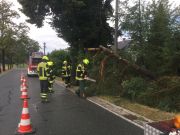 Baum droht auf Straße zu stürzen